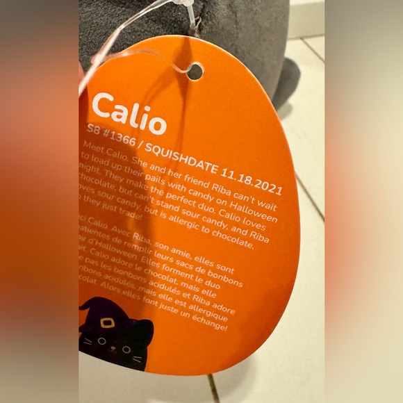 Squishmallow Halloween Calico Cat Witch with Hat and Pumpkin Basket - Picture 6 of 6